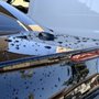 Photo of Aloha Detail