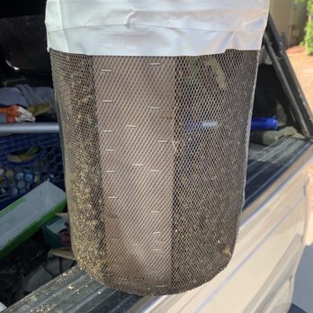 Stung and Sticky Beekeeper - Pest Control Near Me - Phoenix, Arizona Stung and Sticky Beekeeper - Pest Control Near Me - Phoenix, Arizona