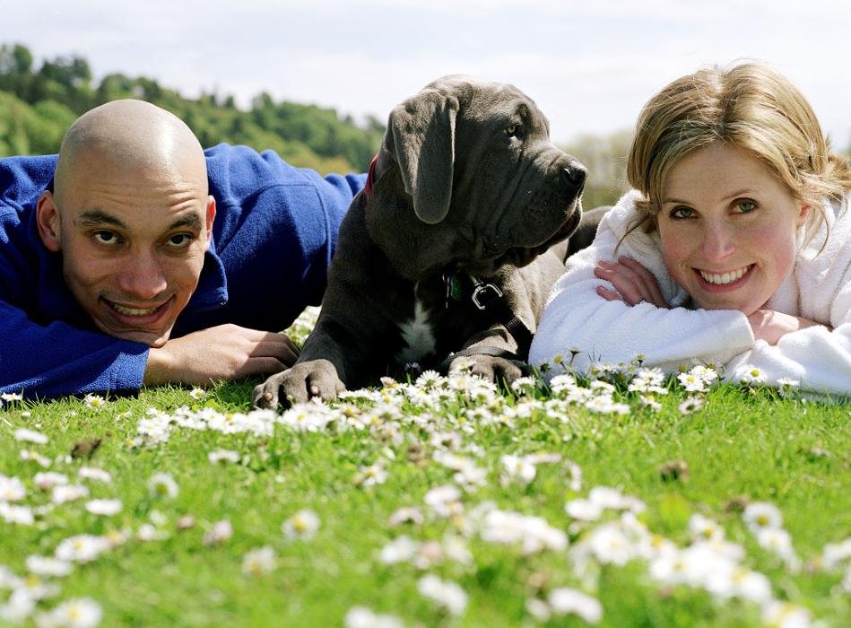 HILLSIDE VETERINARY CENTRE Updated July 2024 26 Photos 116