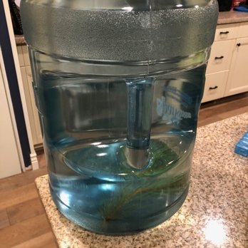 Sparkletts Water - Water Delivery Near Me - Austin, Texas