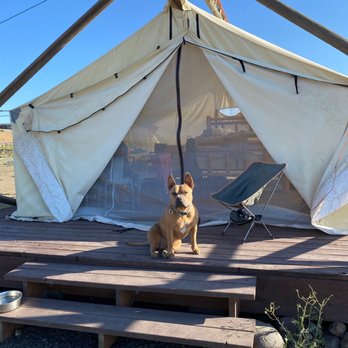 Enterprise Animal Hospital - Juniper at camp - Veterinarians Near Me - Enterprise, Oregon Enterprise Animal Hospital - Juniper at camp - Veterinarians Near Me - Enterprise, Oregon
