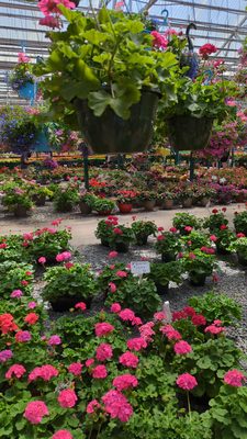 Calareso's Farm Stand & Garden Center by null