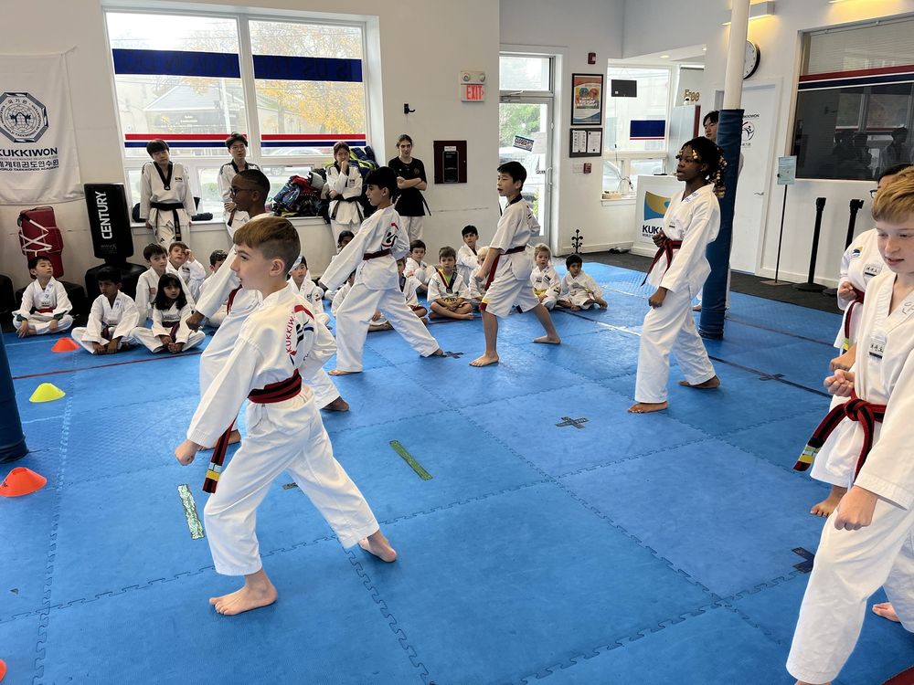 JS US Taekwondo Ma Logo