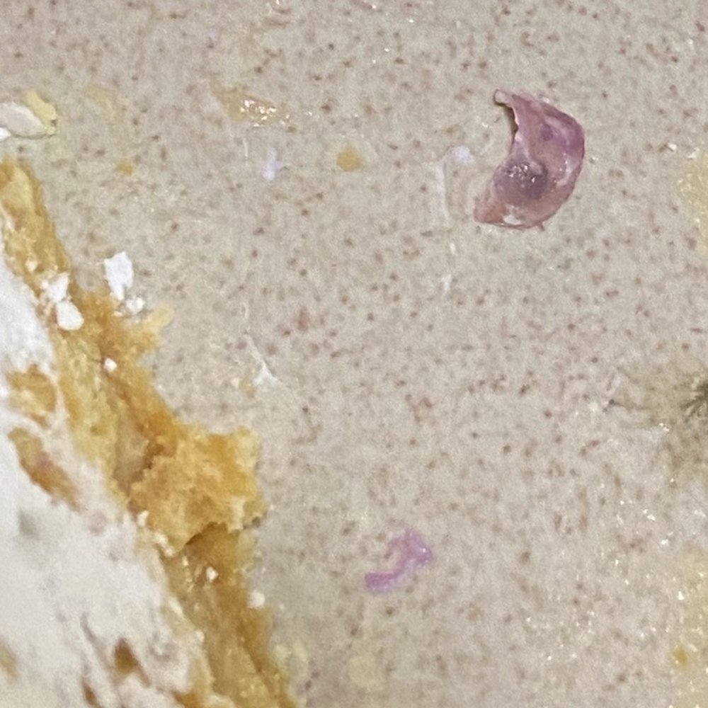 Castro Bakery - Dirty broken fingernail that was found in cake. - Bakeries Near Me - Falls Church, Virginia Castro Bakery - Dirty broken fingernail that was found in cake. - Bakeries Near Me - Falls Church, Virginia