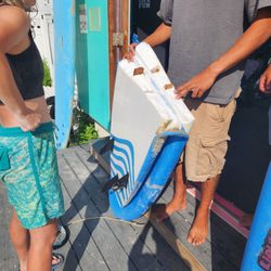 LBI Surfing - Cheap foam board. We're very lucky she wasn't hurt by the 2 thin pieces of wood!
