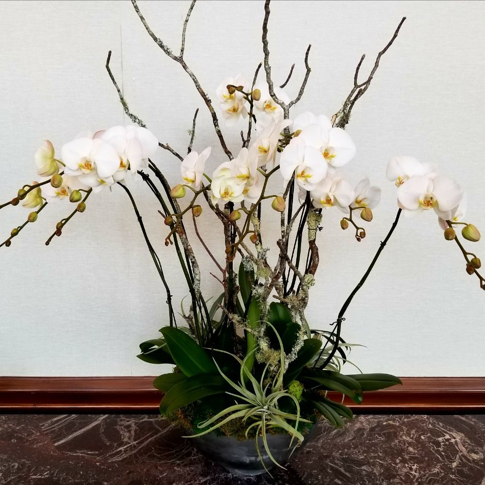 FLOWER FETISH Updated August 2024 17 Photos Roscoe Village