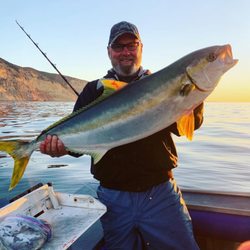 Graphic Slayer Sportfishing - 28lb Yellowtail Homeguard Early Morning bite