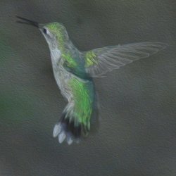 Fine Art Eureka - In the gallery now.