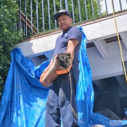 Properly Done Rooter & Plumbing Service - Sewer drain repair