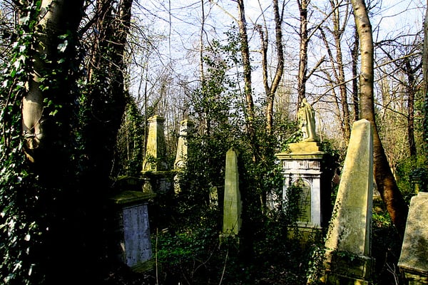 Abney Park Cemetery Trust by null