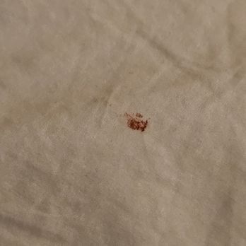 Gateway Inn - Blood on comforter - Guest Houses Near Me - Ashford, Washington
