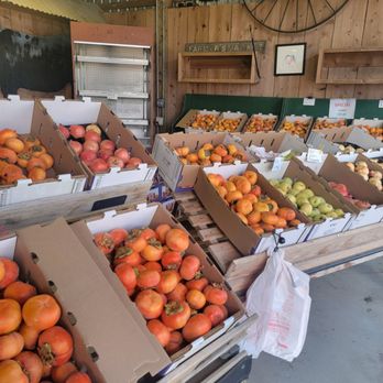 Barb's Produce - Persimmon and more - Fruits & Veggies Near Me - Colusa, California