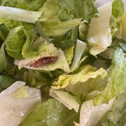 The dead roach lying on the lettuce.