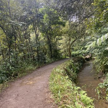 Hike Maui - Tours Near Me - Kahului, Hawaii