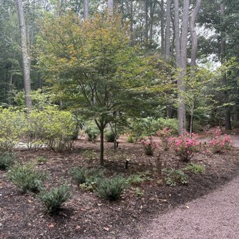 Red Wing Park - Dog Parks Near Me - Virginia Beach, Virginia