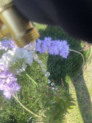 Greenwood Memorial Park and Mortuary by null