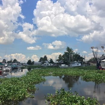 Ultimate Swamp Adventures - Where you get on the boat - Tours Near Me - Westwego, Louisiana Ultimate Swamp Adventures - Where you get on the boat - Tours Near Me - Westwego, Louisiana