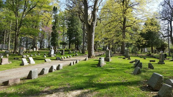 Forest Hill Cemetery by null