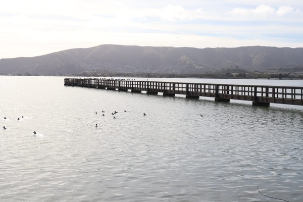 Candlestick Point State Recreation Area by null