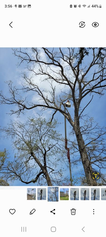 Arbortech Tree - tree service in Coventry, CT