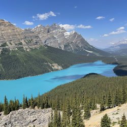 Peyto Lake Viewpoint