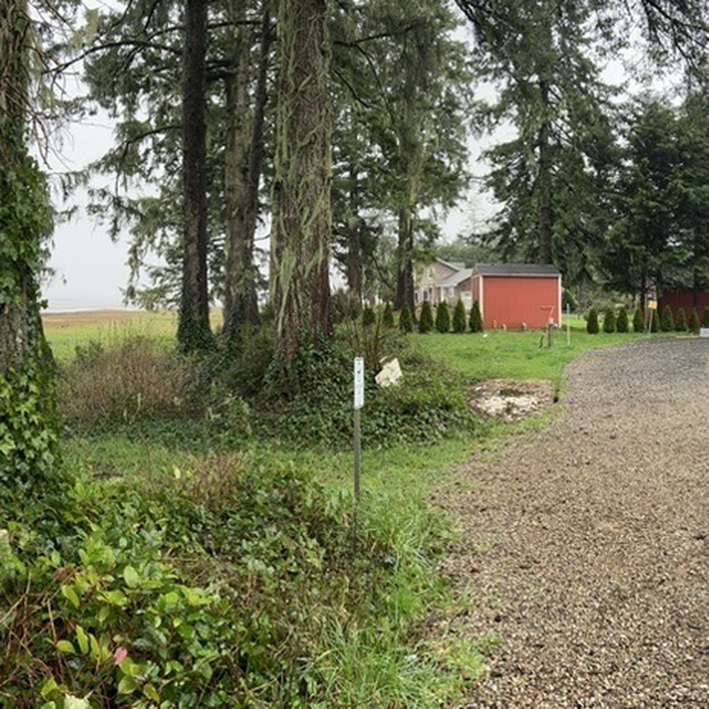 Willapa Bay Heritage Farm - Pano pix of place - Cheese Shops Near Me - Long Beach, Washington Willapa Bay Heritage Farm - Pano pix of place - Cheese Shops Near Me - Long Beach, Washington
