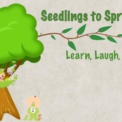 Seedlings to Sprouts