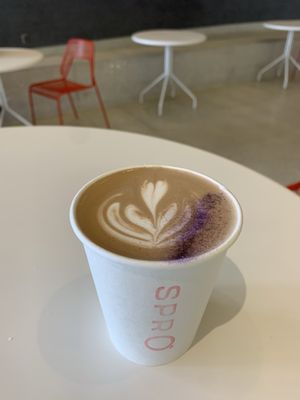 SPRO - Golden Gate/Civic Center by null