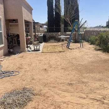 Ever grass - Landscaping Near Me - El Paso, Texas
