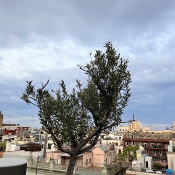 The Rooftop - The amazing view - Cocktail Bars Near Me - Barcelona, B