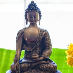 Veda Holistic Health