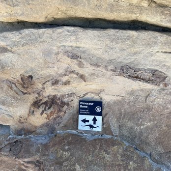 Dinosaur Ridge - Dino bones! - Museums Near Me - Morrison, Colorado