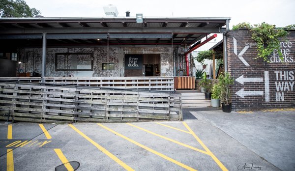 Three Blue Ducks, Rosebery by null