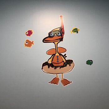 Duck Donuts - Bathroom wall. Who doesn't think about a duck snorkeling when peeing? If u didn't, now u do. - Donuts Near Me - Hilton Head, South Carolina Duck Donuts - Bathroom wall. Who doesn't think about a duck snorkeling when peeing? If u didn't, now u do. - Donuts Near Me - Hilton Head, South Carolina