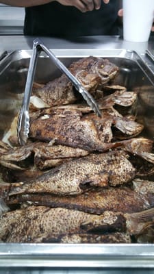 Fisherman's Cove by null