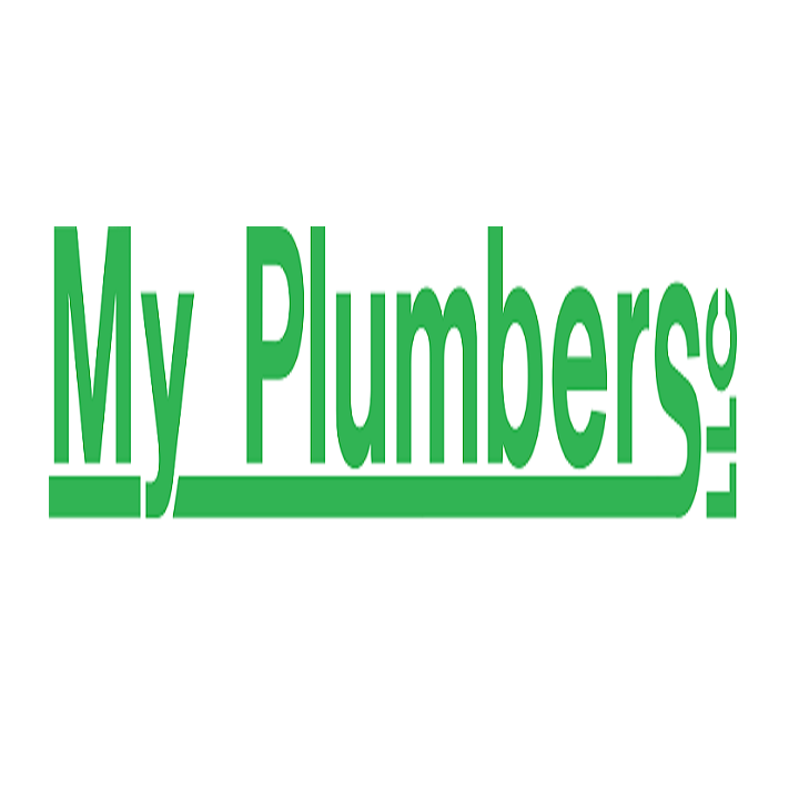 Slide of My Plumbers
