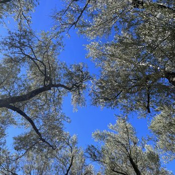 B.R. Cohn Winery - Wineries Near Me - Glen Ellen, California