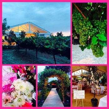 Scribner Bend Vineyards - An excellent place for your event or a wonderful place for wine tasting. Try the Syrah! - Venues & Event Spaces Near Me - Sacramento, California Scribner Bend Vineyards - An excellent place for your event or a wonderful place for wine tasting. Try the Syrah! - Venues & Event Spaces Near Me - Sacramento, California