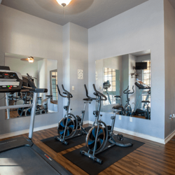 Mountain Vista - The fitness room comes equipped with a treadmill, 2 exercise bikes, and yoga materials