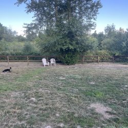 Hazelia Field Dog Park - Our pups at the back section of the small dog park