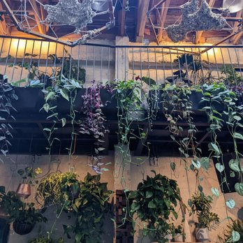 Arcana - Nurseries & Gardening Near Me - San Francisco, California