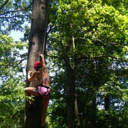 Genesee Valley Outdoor Learning Center - Climbing the pamper pole