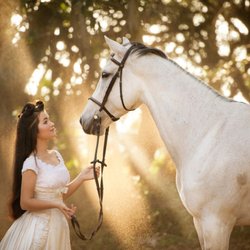 HJM Photography - MASS Pet Photographers in Worcester County, Massachusetts including "Dog Photographers" - "Horse Photographers" and "Cat Photographers"