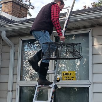 Animal Damage Control and Removal - Pest Control Near Me Animal Damage Control and Removal - Pest Control Near Me