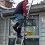 Photo of Animal Damage Control and Removal