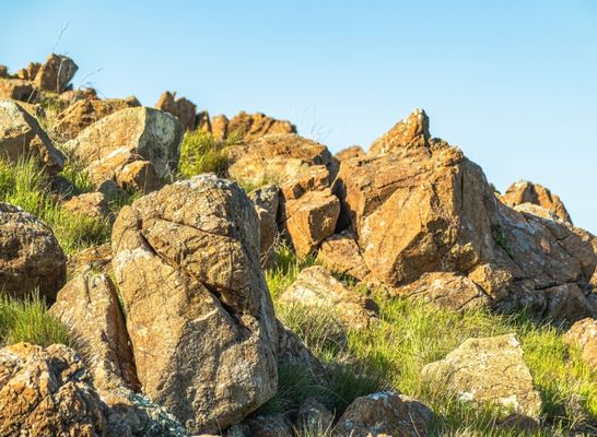 Ring Mountain Preserve by null