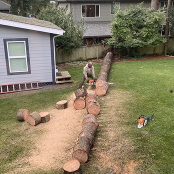 Urban Arborist - They even got rid of the saw dust when they were done. - Tree Services Near Me - Seattle, Washington Urban Arborist - They even got rid of the saw dust when they were done. - Tree Services Near Me - Seattle, Washington