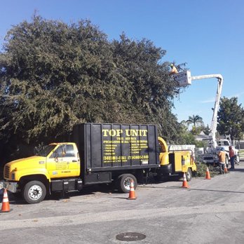 Top Unit Tree Service - Topunittreeservice in Action - Tree Services Near Me - Norwalk, California Top Unit Tree Service - Topunittreeservice in Action - Tree Services Near Me - Norwalk, California