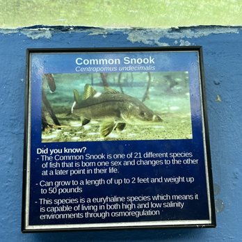 Coral World Ocean Park - Aquariums Near Me - St Thomas, Virgin Islands