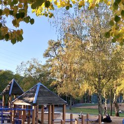 11/15/2020: Fall colors